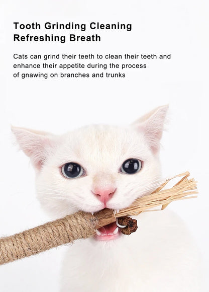 Silvervine Cat Chew Stick – Natural Teeth Cleaning & Stress Relief Toy for Kittens & Cats