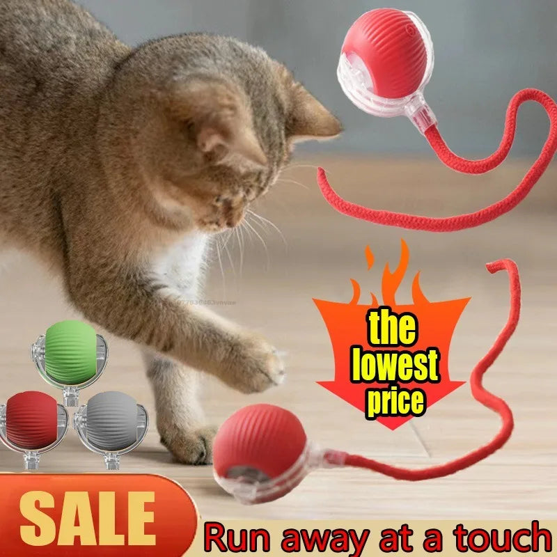 Automatic Rolling Cat Ball – Interactive Self-Moving Toy for Kittens & Cats