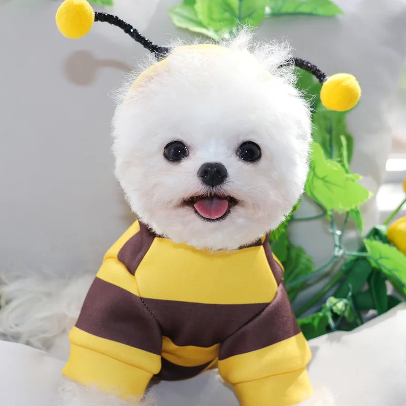 Adorable Bee Costume Hoodie – Soft Fleece Outfit for Dogs & Cats