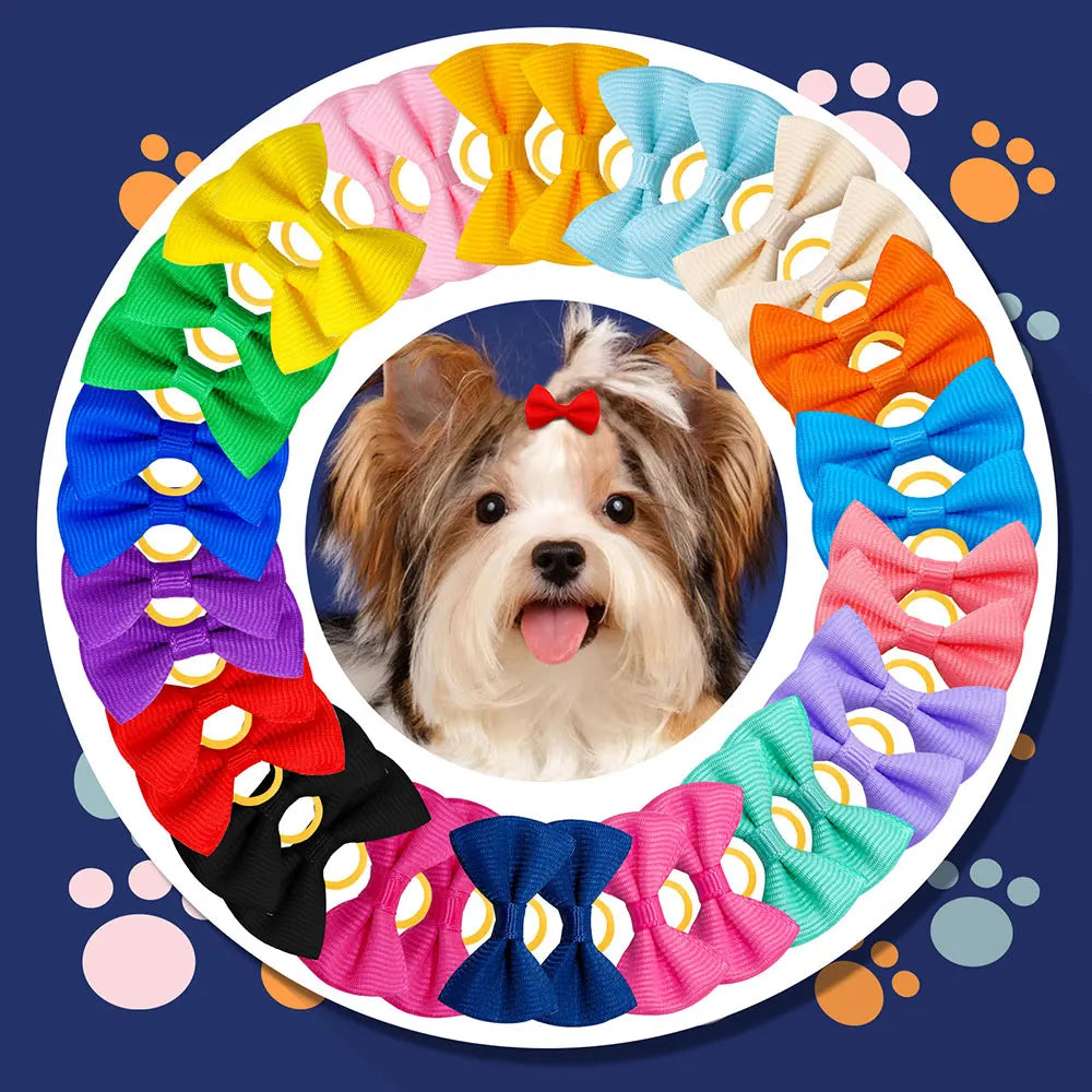 30PCS  Pet Dog Cat Puppy Grooming Bows Pet Hair Accessories Decorate Hair for Small Dog Hair Rubber Band Dog Supplier