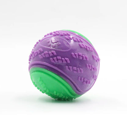 Durable Squeaky Dog Ball – Interactive Bite-Resistant Toy for Teeth Cleaning & Chewing