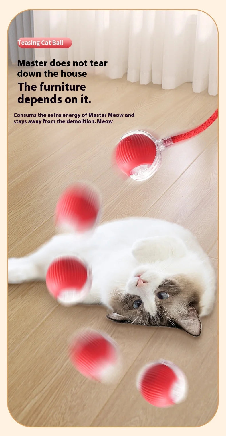 Rechargeable Smart Rolling Ball – Automatic Interactive Cat & Dog Toy