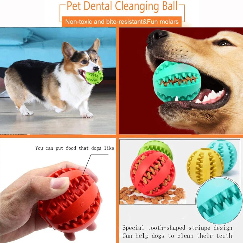 Interactive Rubber Dog Ball – Chewing Toy & Treat Dispenser for Puppies & Cats