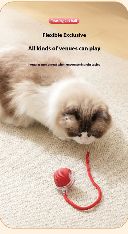 Rechargeable Smart Rolling Ball – Automatic Interactive Cat & Dog Toy