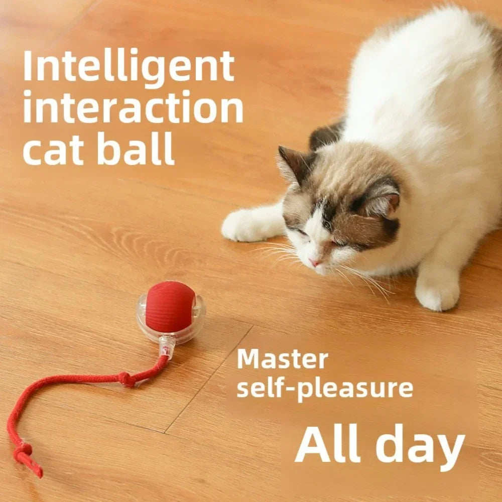 Rechargeable Smart Rolling Ball – Automatic Interactive Pet Toy for Cats & Dogs