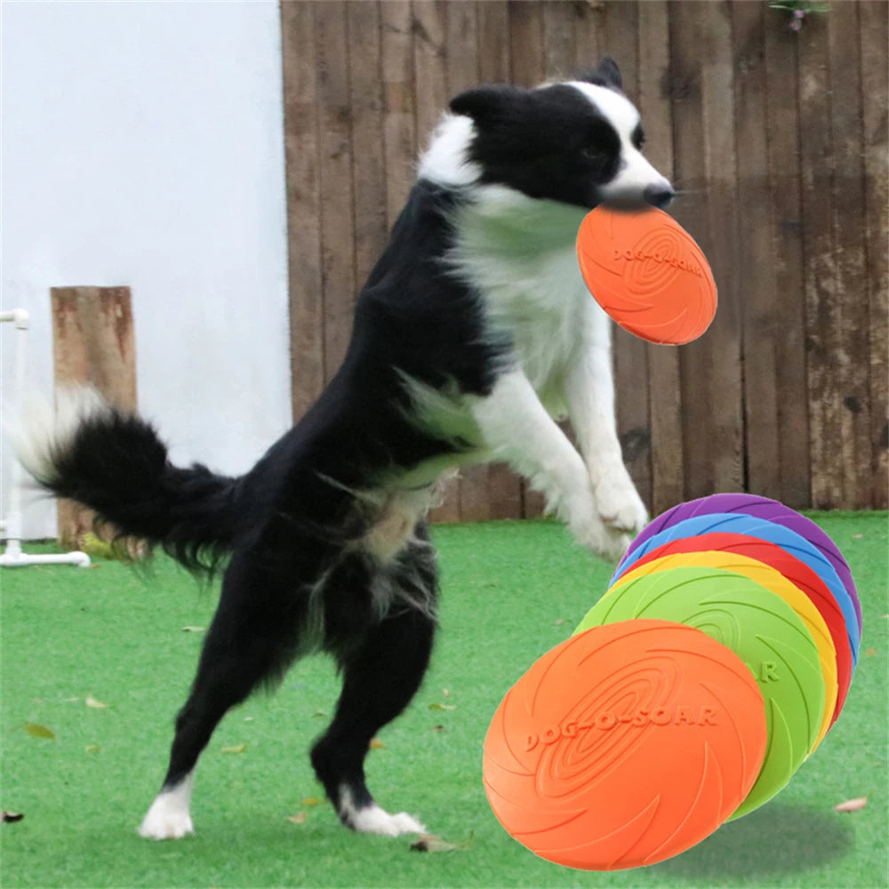 Durable Pet Flying Disc – Interactive Training & Chew Toy for Dogs