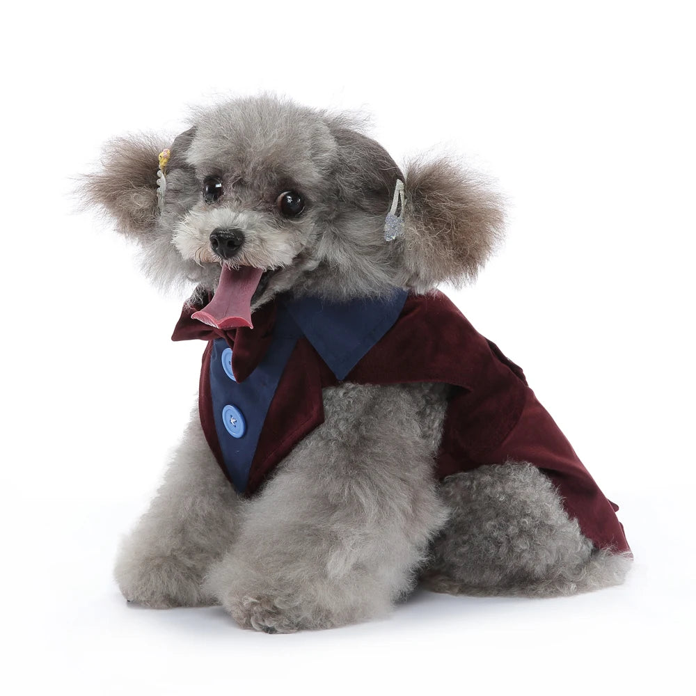 Formal Dog Tuxedo – Stylish Wedding & Party Outfit for Small & Medium Dogs