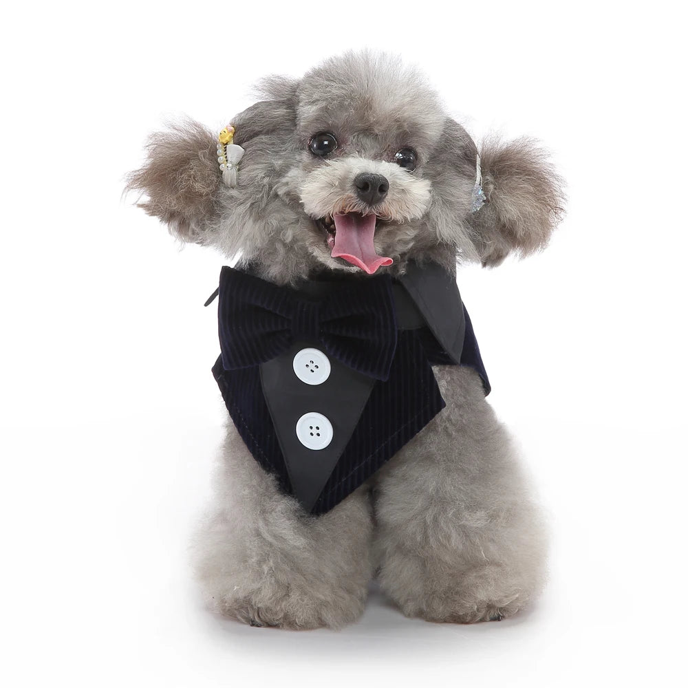 Formal Dog Tuxedo – Stylish Wedding & Party Outfit for Small & Medium Dogs