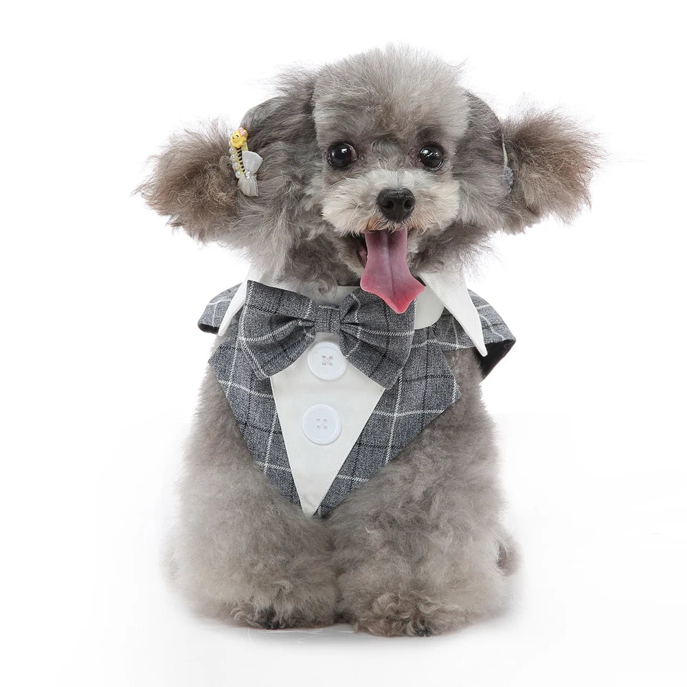 Formal Dog Tuxedo – Stylish Wedding & Party Outfit for Small & Medium Dogs