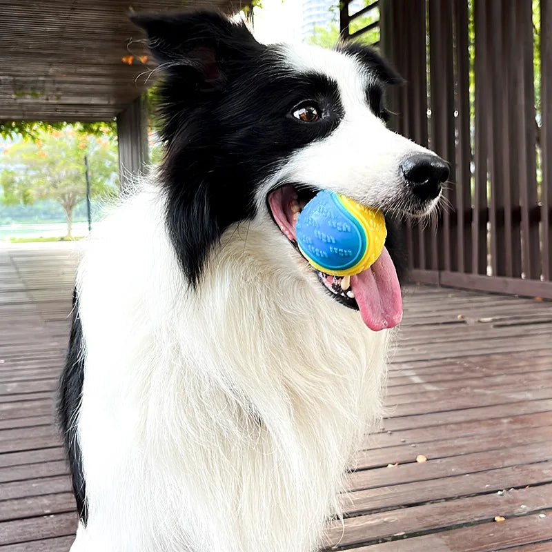 Durable Squeaky Dog Ball – Interactive Bite-Resistant Toy for Teeth Cleaning & Chewing