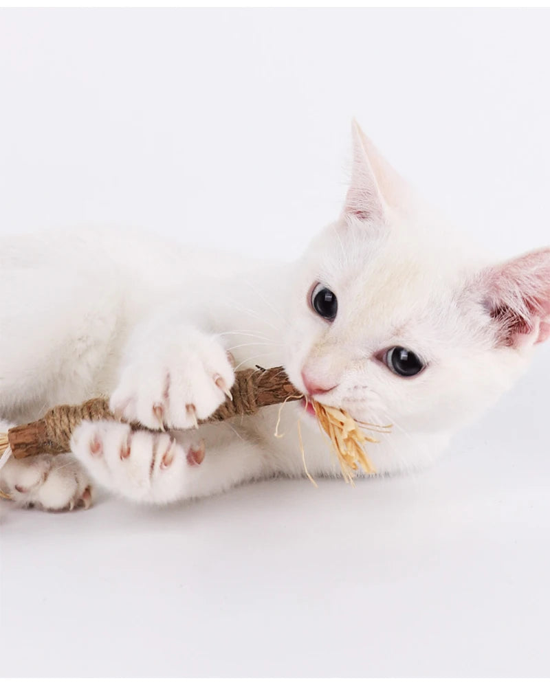 Silvervine Cat Chew Stick – Natural Teeth Cleaning & Stress Relief Toy for Kittens & Cats