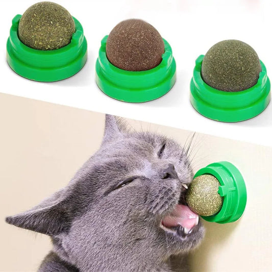 Natural Catnip Wall Ball – Interactive Treat & Digestive Aid for Cats