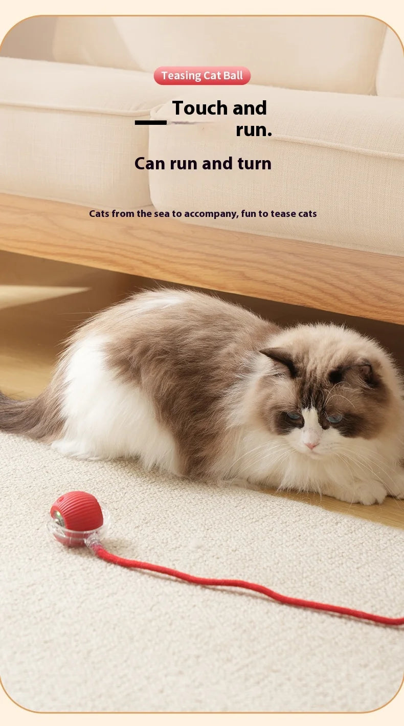 Rechargeable Smart Rolling Ball – Automatic Interactive Cat & Dog Toy