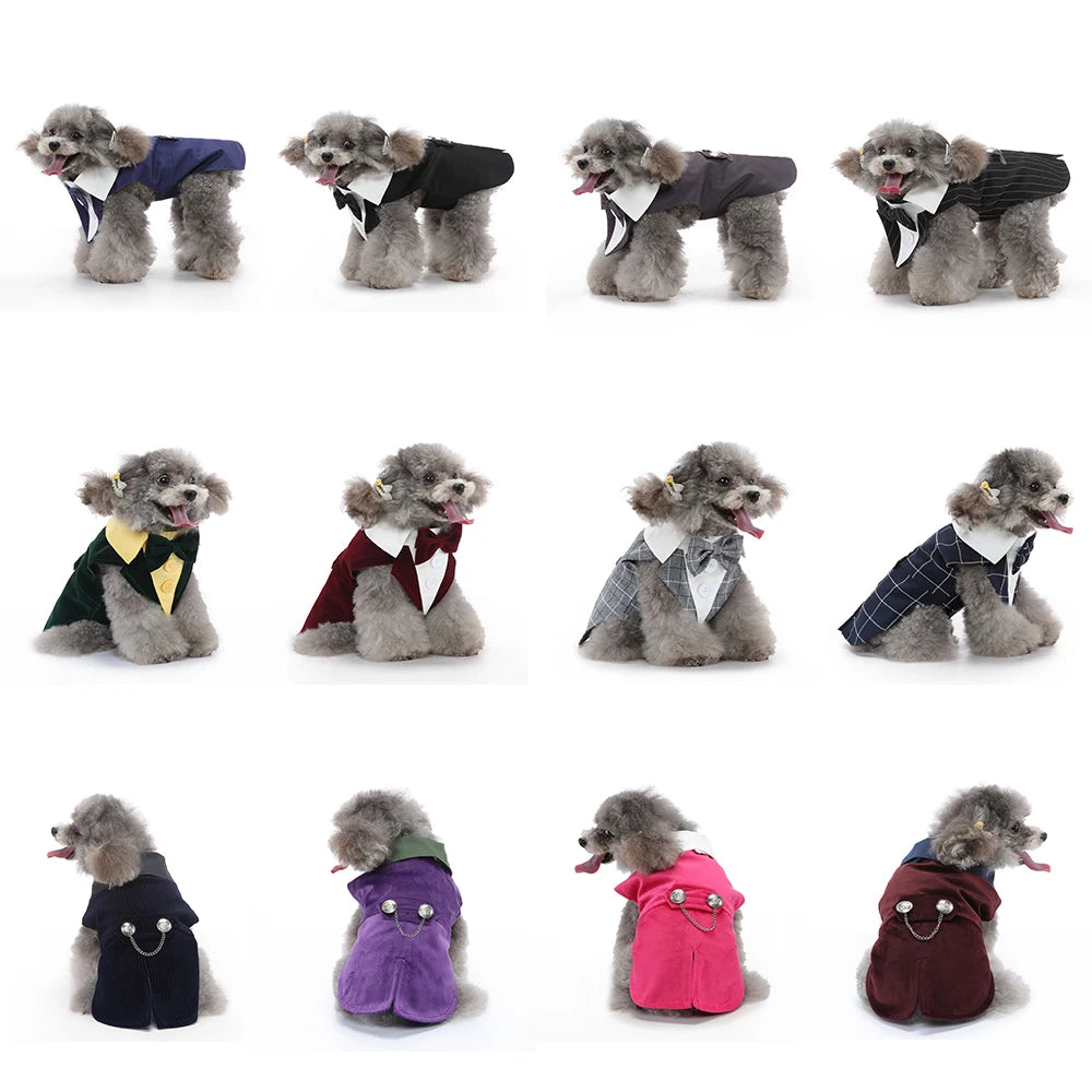 Formal Dog Tuxedo – Stylish Wedding & Party Outfit for Small & Medium Dogs