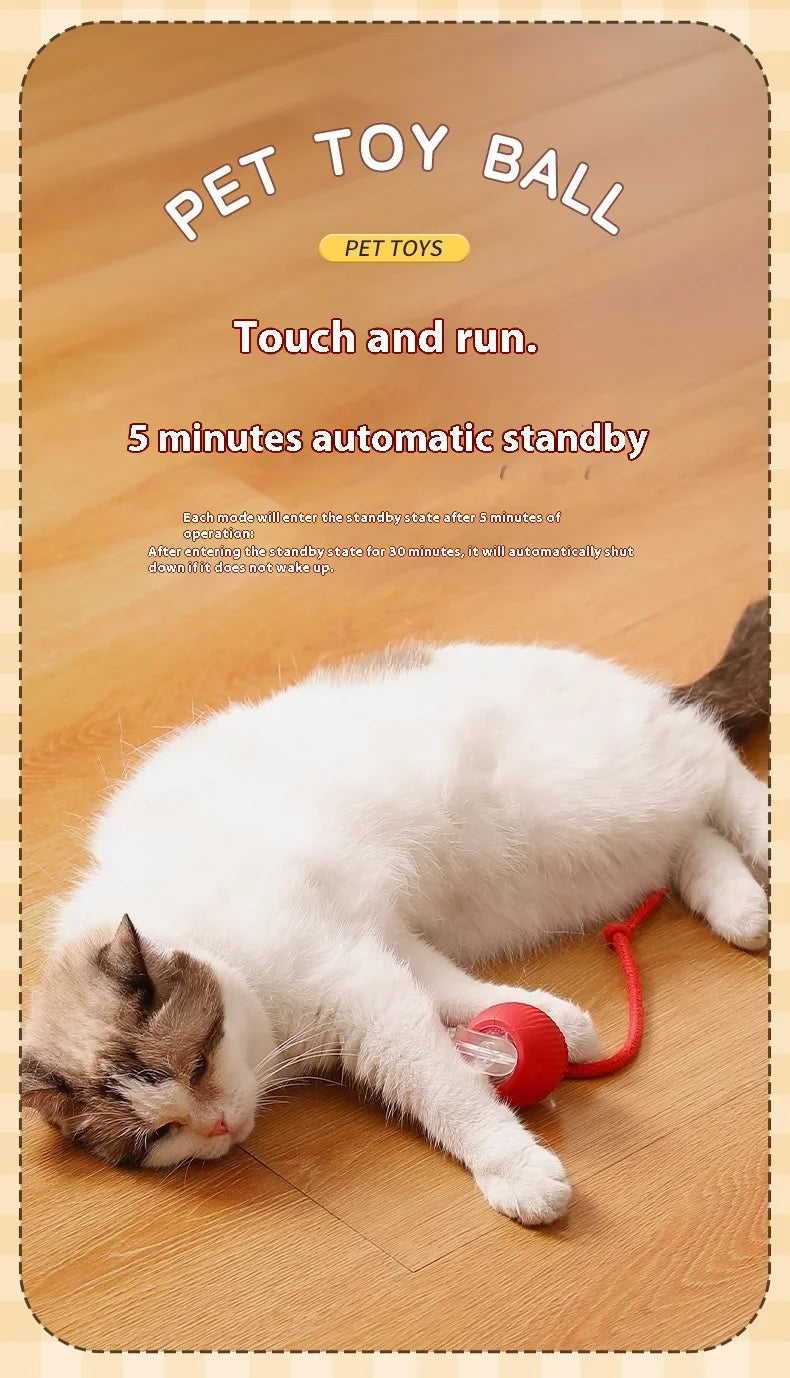 Smart Rolling Cat Ball – USB Rechargeable Automatic Toy for Cats & Kittens