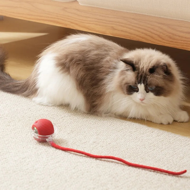 Rechargeable Smart Rolling Ball – Automatic Interactive Cat & Dog Toy