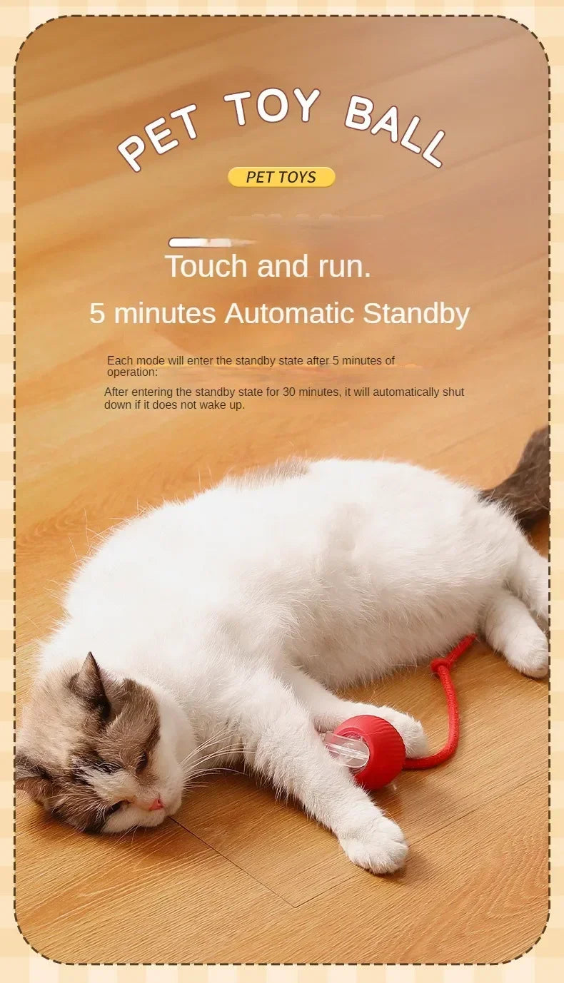 Automatic Rolling Cat Ball – Interactive Self-Moving Toy for Kittens & Cats