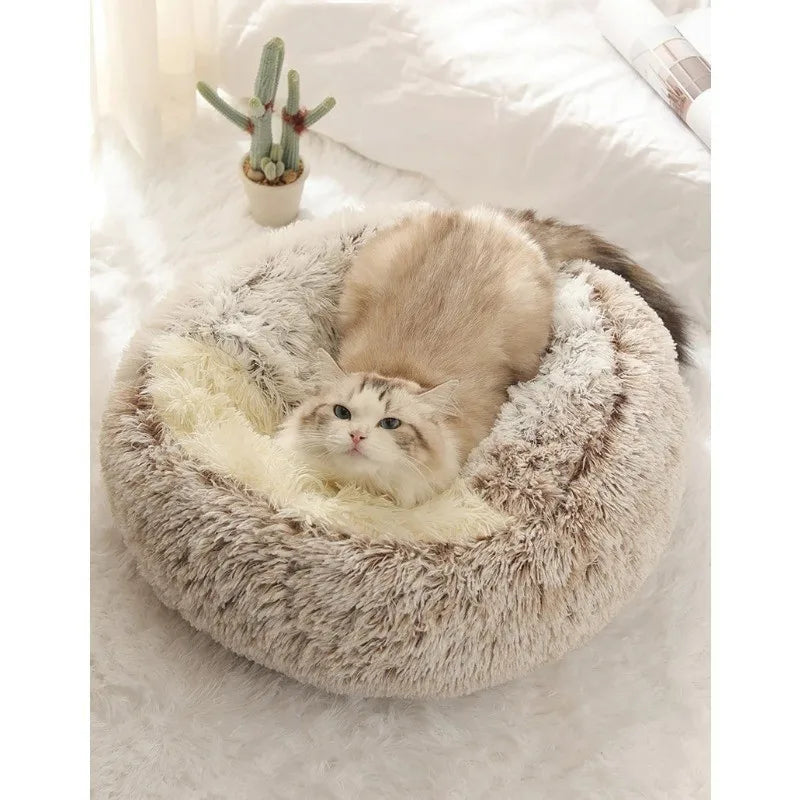 Semi-Enclosed Plush Cat Bed – Soft & Cozy Shell Nest for Cats & Small Dogs