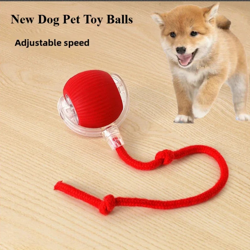 Rechargeable Smart Rolling Ball – Automatic Interactive Pet Toy for Cats & Dogs