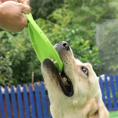 Durable Pet Flying Disc – Interactive Training & Chew Toy for Dogs