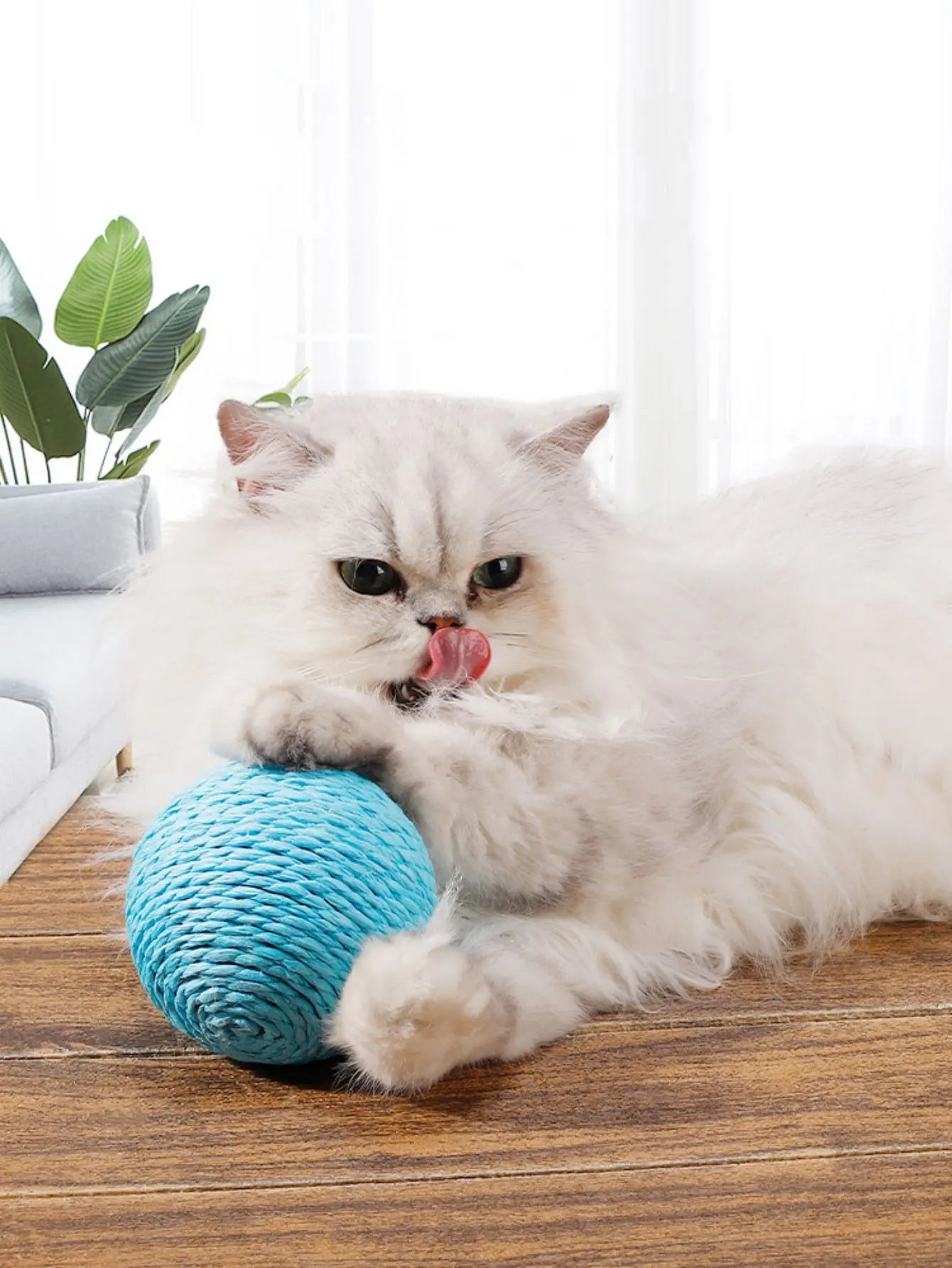 Interactive Sisal Cat Scratching Ball – 10CM Sounding Toy for Kittens & Teeth Cleaning