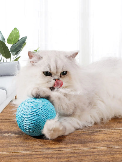 Interactive Sisal Cat Scratching Ball – 10CM Sounding Toy for Kittens & Teeth Cleaning