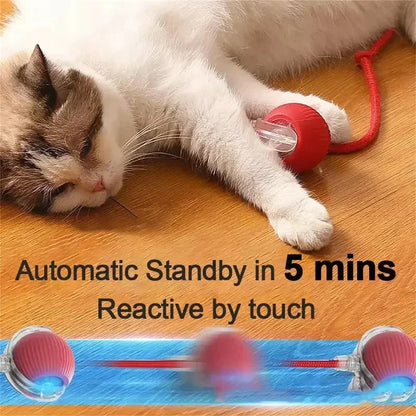 Rechargeable Smart Rolling Ball – Automatic Interactive Pet Toy for Cats & Dogs