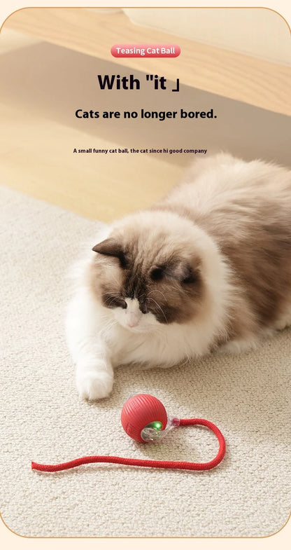 Rechargeable Smart Rolling Ball – Automatic Interactive Cat & Dog Toy