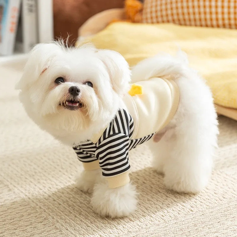 Striped Dog Hoodie with D-Ring – Lightweight Sweatshirt for Small Dogs & Cats