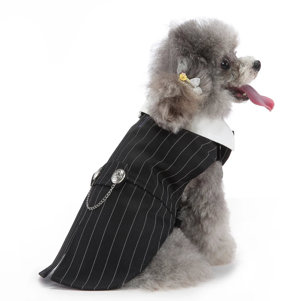 Formal Dog Tuxedo – Stylish Wedding & Party Outfit for Small & Medium Dogs