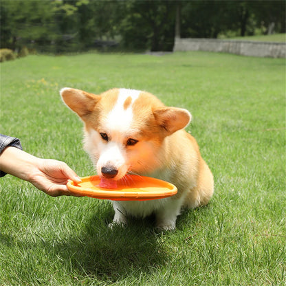 Durable Pet Flying Disc – Interactive Training & Chew Toy for Dogs