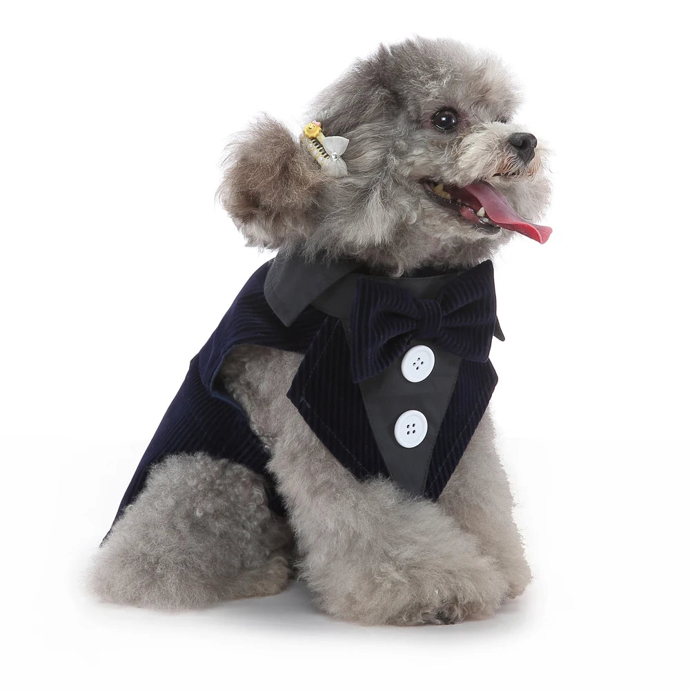 Formal Dog Tuxedo – Stylish Wedding & Party Outfit for Small & Medium Dogs