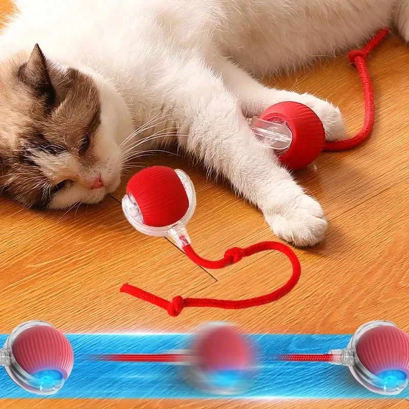 Smart Rolling Cat Ball – USB Rechargeable Automatic Toy for Cats & Kittens