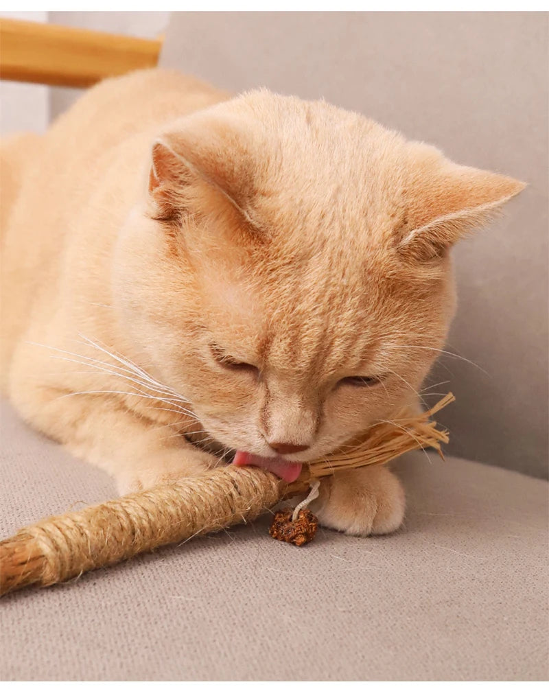 Silvervine Cat Chew Stick – Natural Teeth Cleaning & Stress Relief Toy for Kittens & Cats