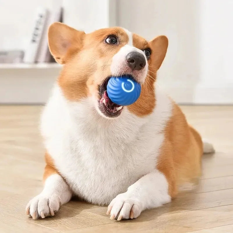 Smart Interactive Pet Ball – USB Rechargeable Automatic Moving Toy for Dogs & Cats