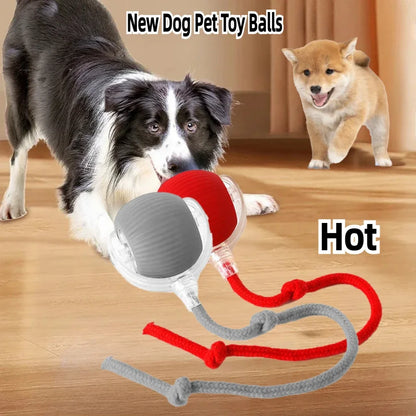 Rechargeable Smart Rolling Ball – Automatic Interactive Pet Toy for Cats & Dogs