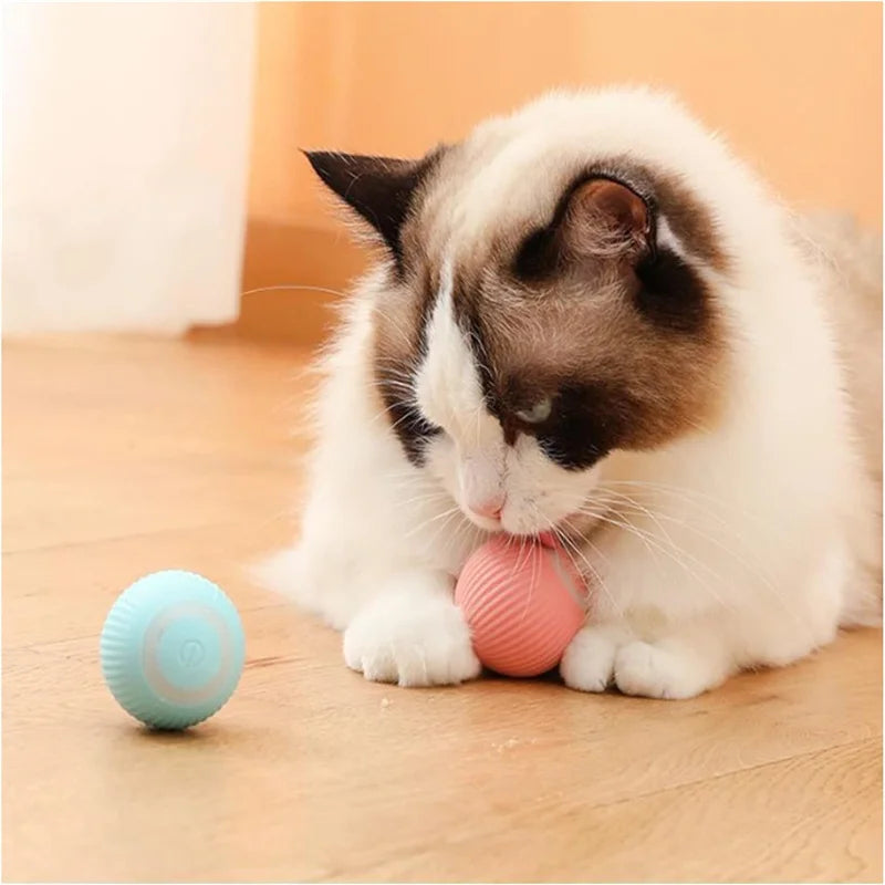 Smart Interactive Pet Ball – USB Rechargeable Automatic Moving Toy for Dogs & Cats