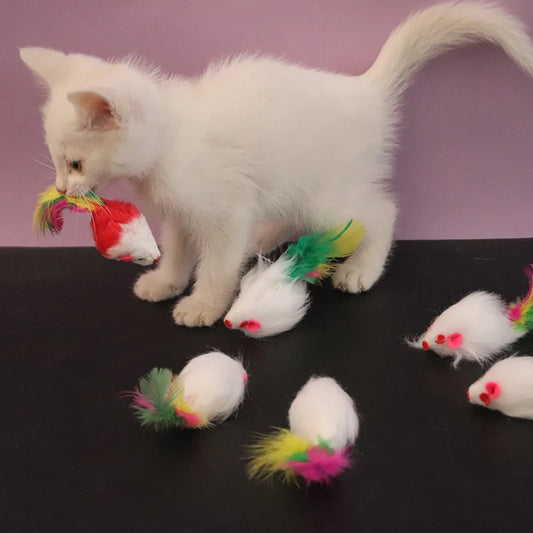 Soft Fleece Mouse Cat Toy – Interactive Feather Teaser for Kittens & Cats