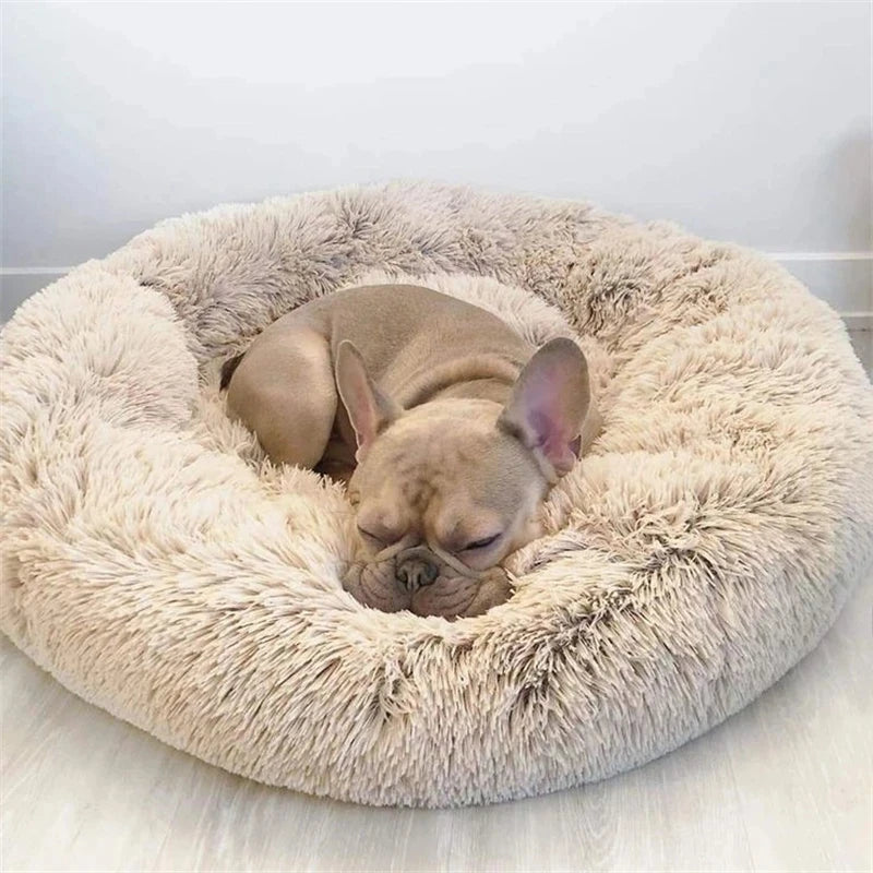 Ultra-Soft Plush Donut Cat Bed – Washable & Calming Pet Sleeping Nest for Cats & Small Dogs