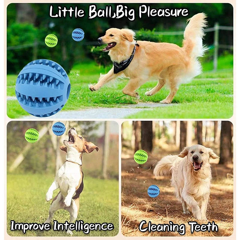 Interactive Rubber Dog Ball – Chewing Toy & Treat Dispenser for Puppies & Cats