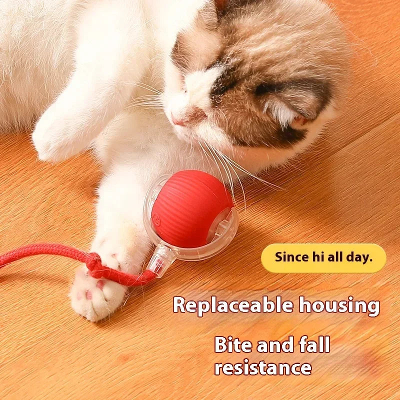 Smart Rolling Cat Ball – USB Rechargeable Automatic Toy for Cats & Kittens