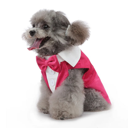 Formal Dog Tuxedo – Stylish Wedding & Party Outfit for Small & Medium Dogs