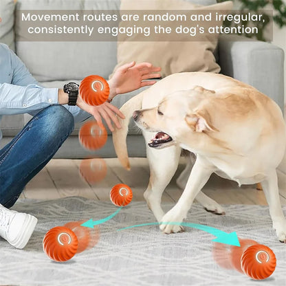 Smart Interactive Pet Ball – USB Rechargeable Automatic Moving Toy for Dogs & Cats