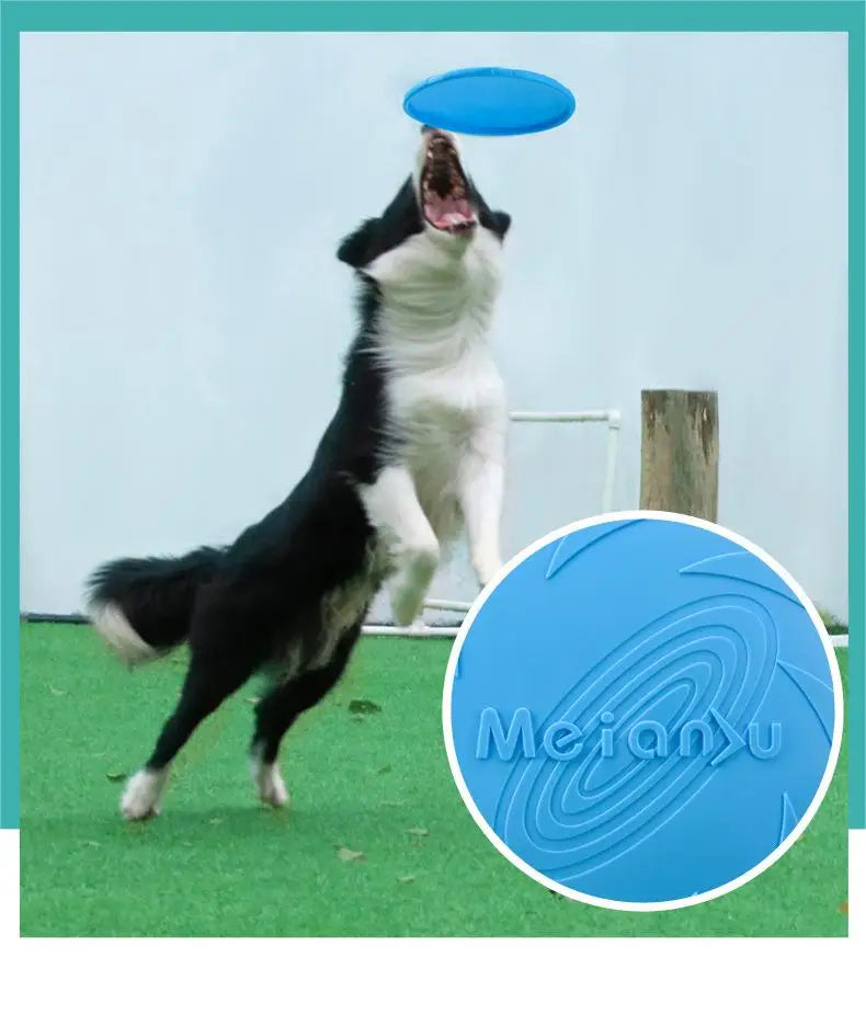 Durable Flying Disc for Dogs – Bite-Resistant Interactive Frisbee for Training & Outdoor Play